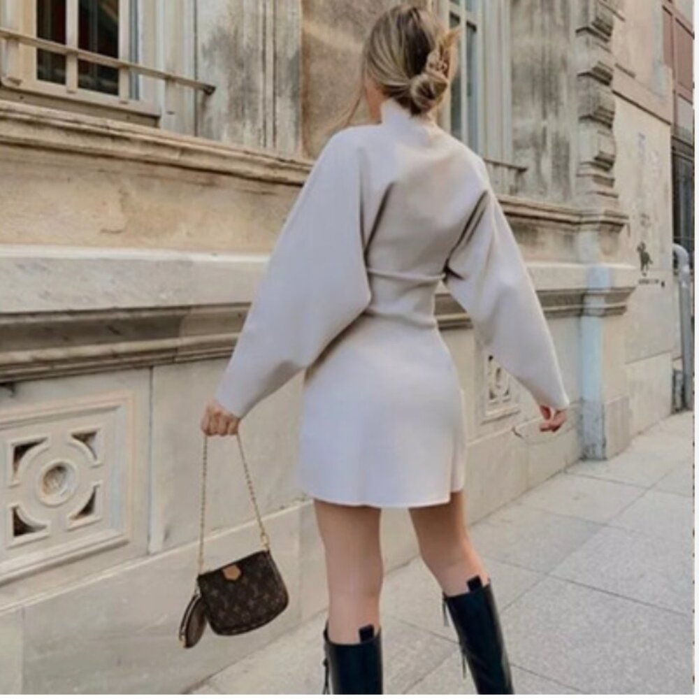 NWT Zara Sweater Dress